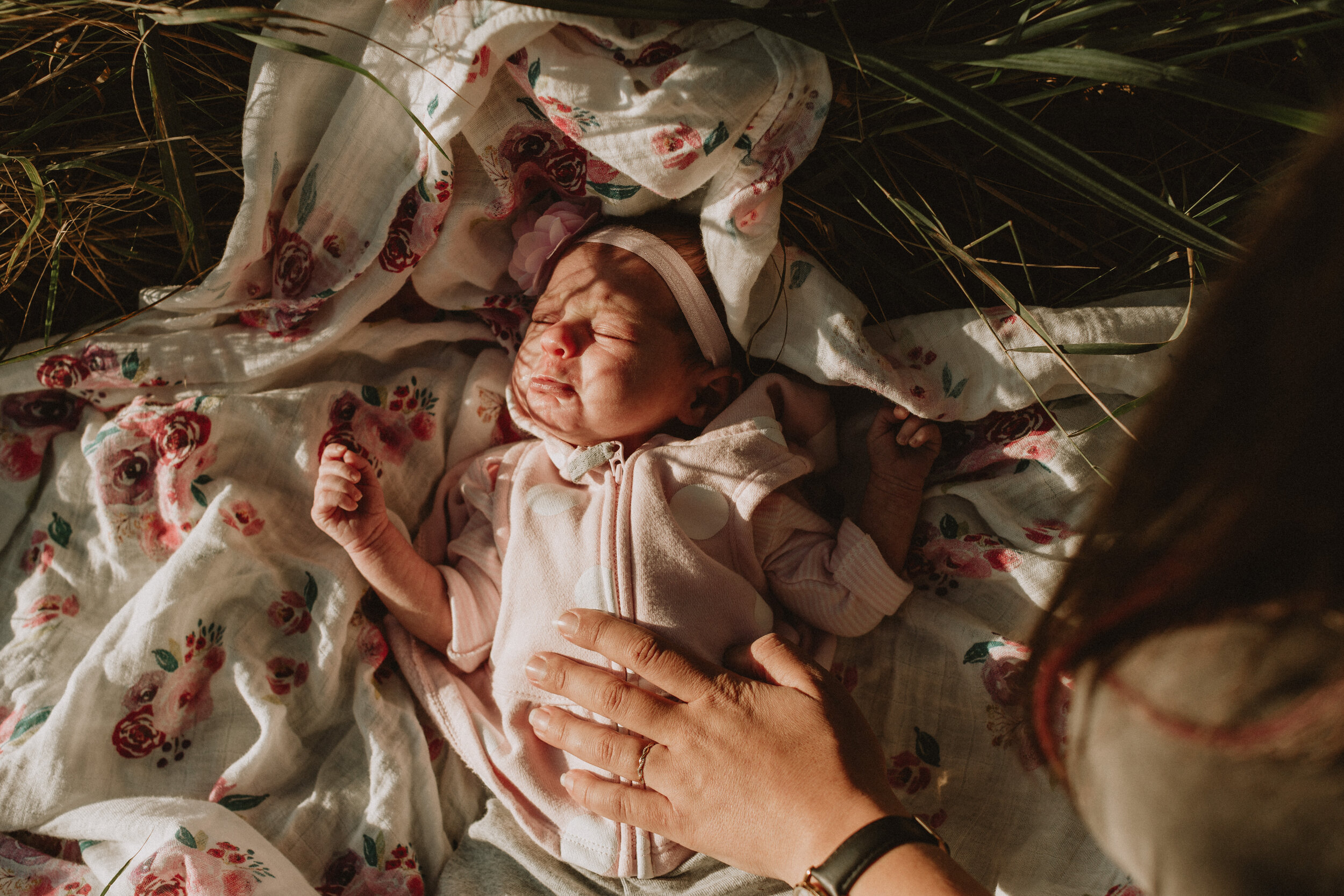 katiecrossphotography-20.JPG