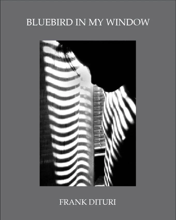 cover-bluebird.web.jpg