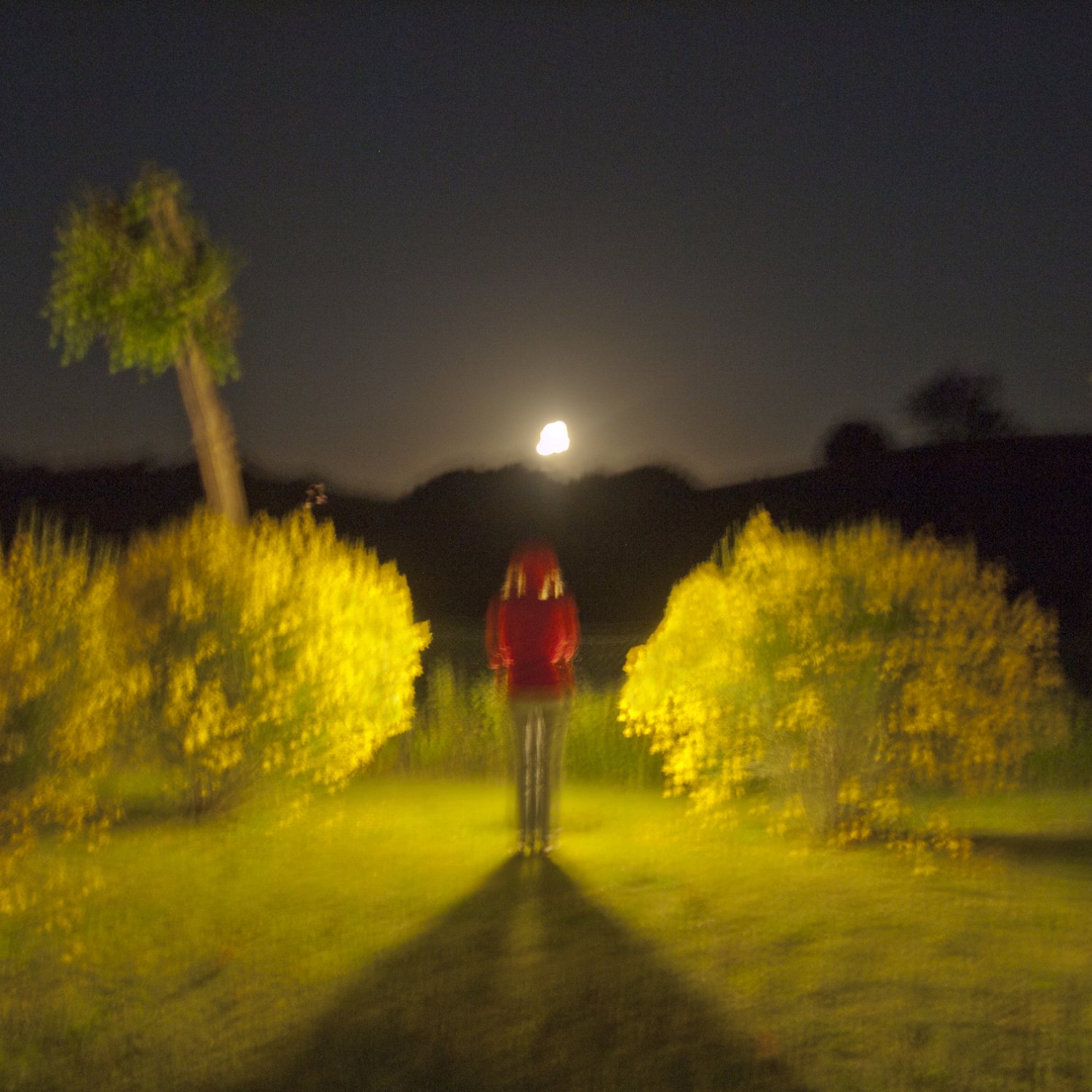 MONICA AND MOON, Italy, 2012 ©.jpg