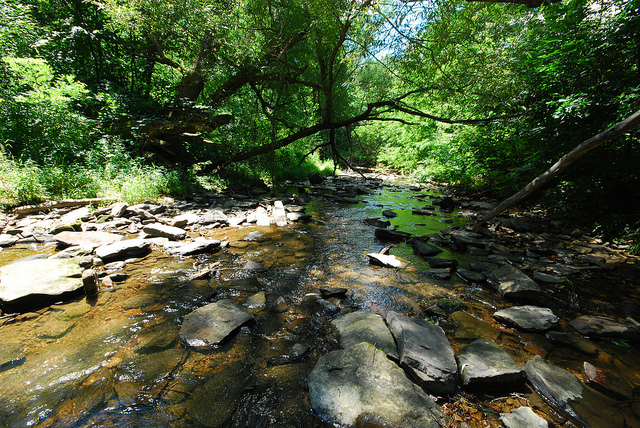 CREEK THROUGH THE GORGE BY J OSHUA MAYER CREATIVE COMMONS WWW.FLICKR.COM