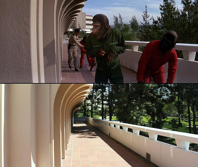 CONQUEST OF THE PLANET OF THE APES BY TONY HOFFARTH CREATIVE COMMONS FLICKR