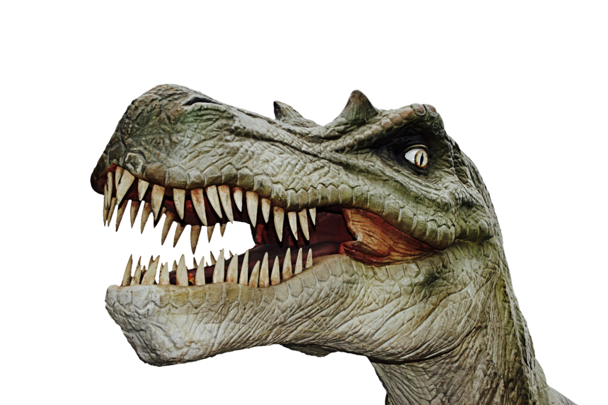 dinosaurs existed on the earth long before adam & eve. They were all plant eaters who didn’t bother the inhabitants. when lucifer tried to take over god’s throne god kicked him and one third of the other fallen angels into second heaven. when the fallen angels started harassing the inhabitants & animals on the earth god turned the earth upside down & froze the it for millions of years.