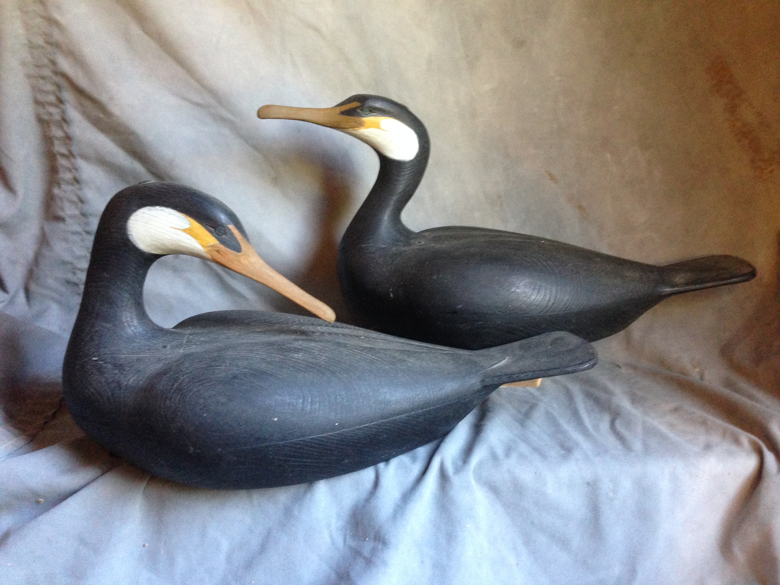 Cormorant Pair