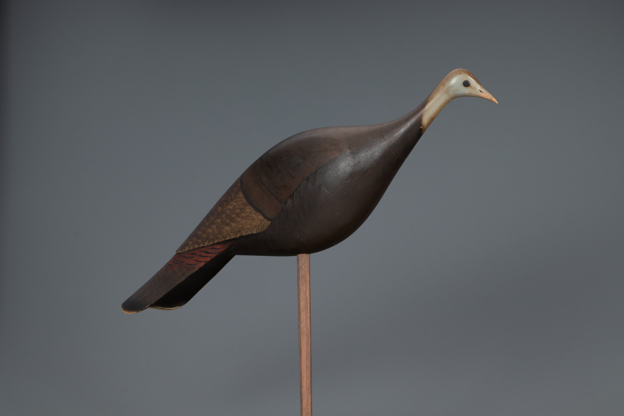 Wild Turkey Decoy