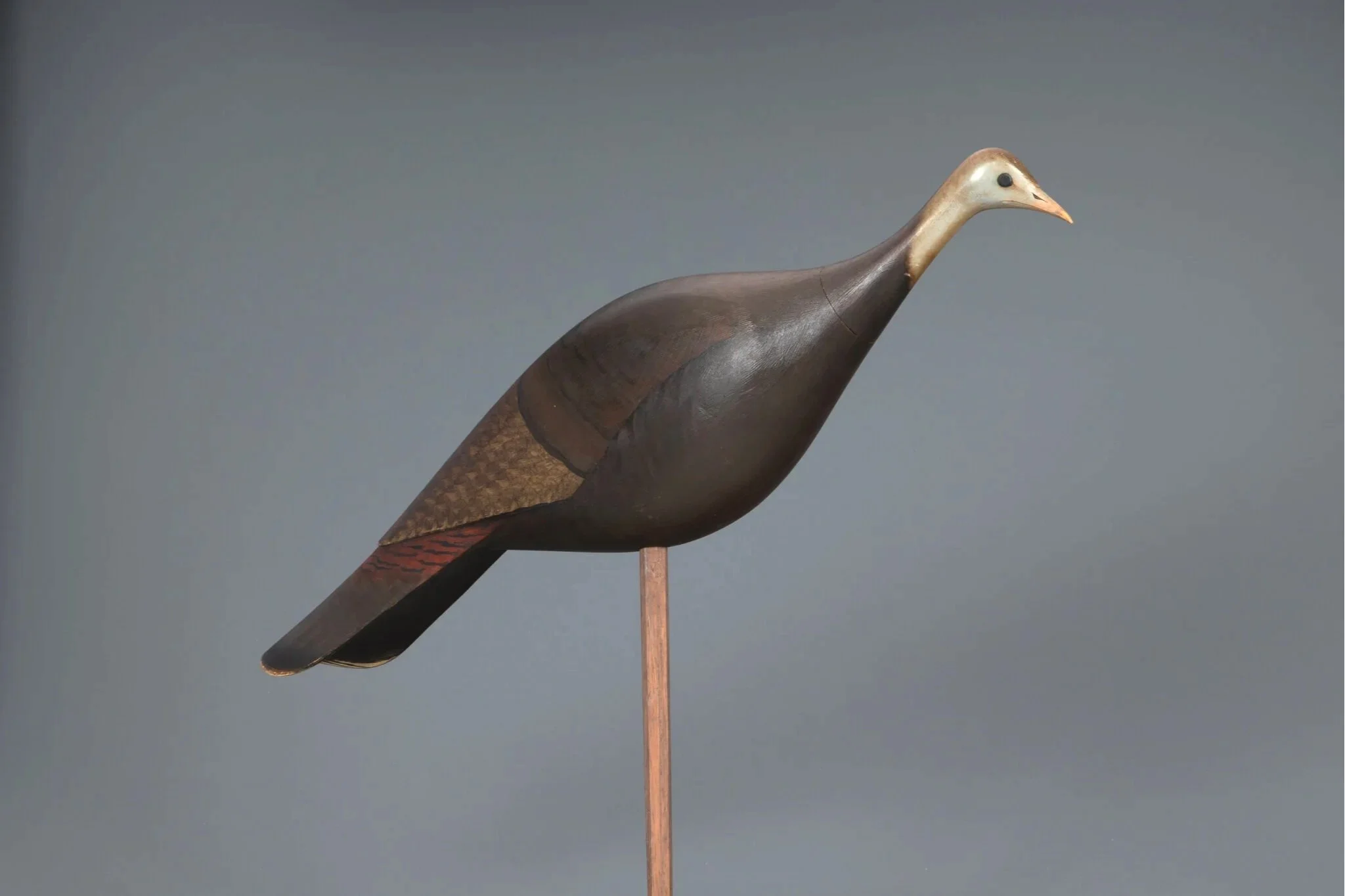 Wild Turkey Decoy