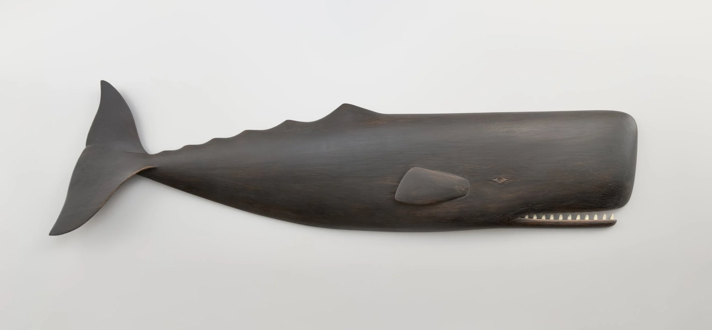 Sperm Whale