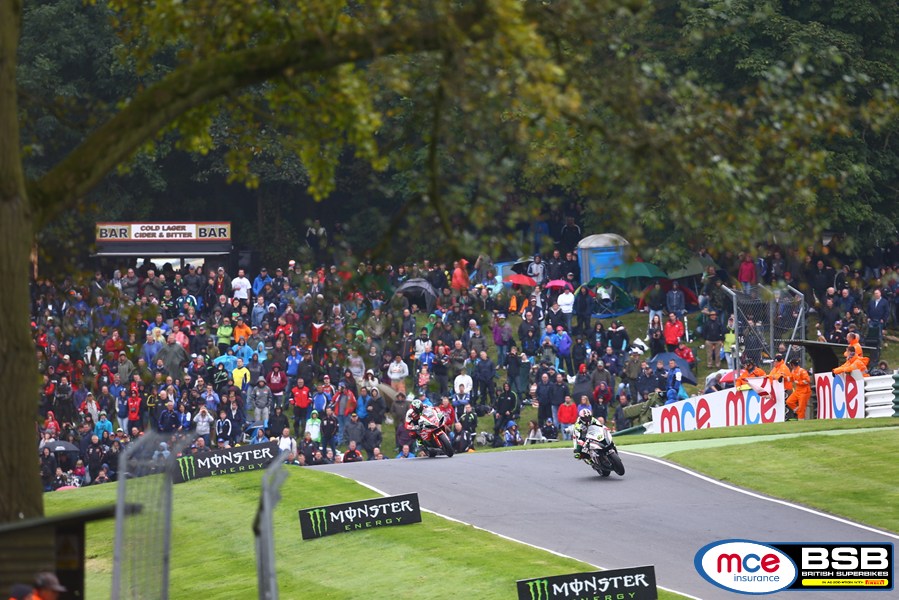 cadwell1.jpeg