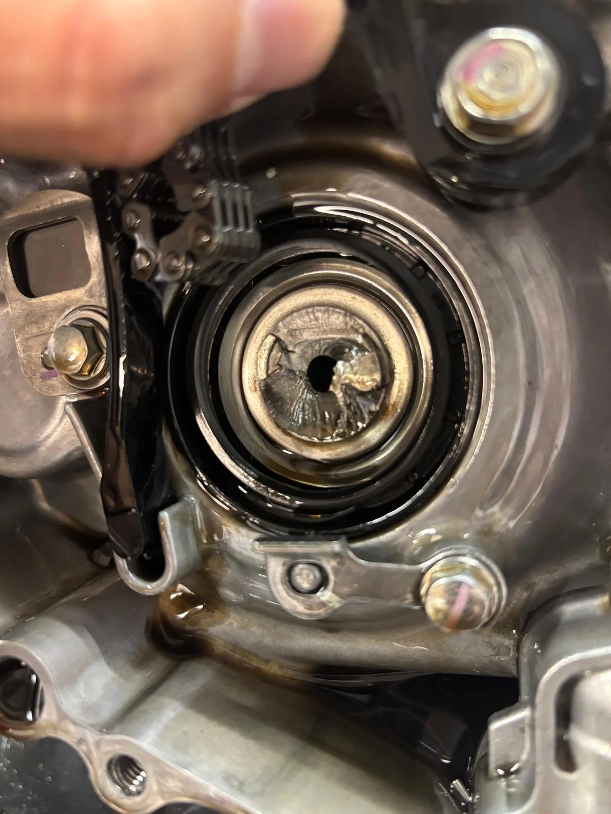 WhatsApp Image 2025-11-25 at 21.56.14.jpeg