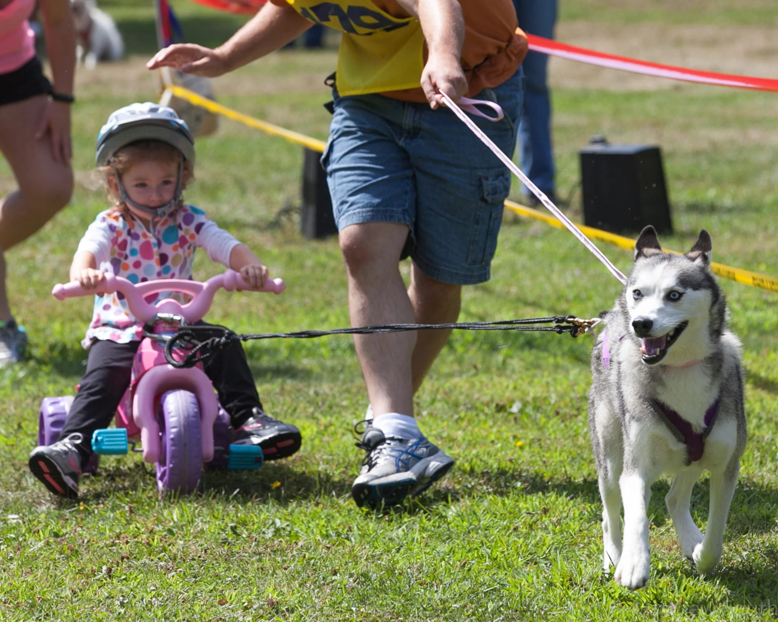 2014 PSDC Summer Campout