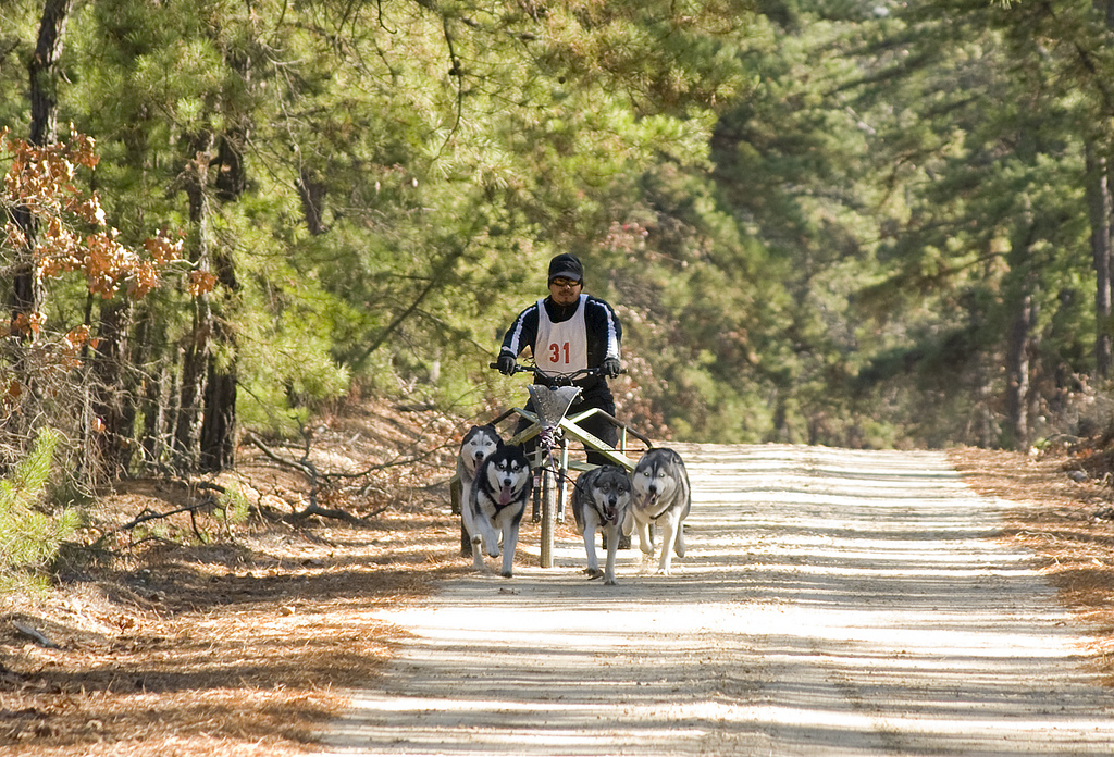 Mt. Misery Mush [Make-up Date]