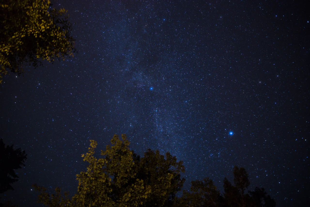 2015 PSDC Summer Campout