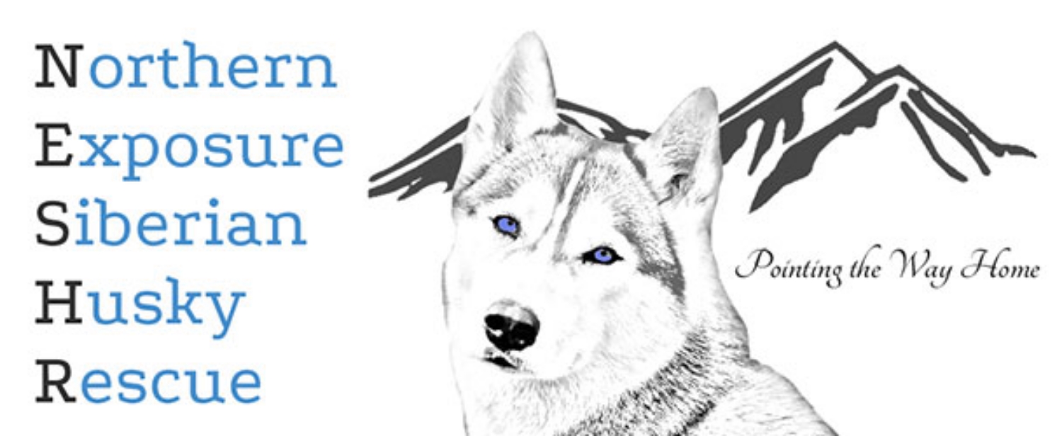 CANCELLED - NESHR's 2nd Annual Cartoberfest