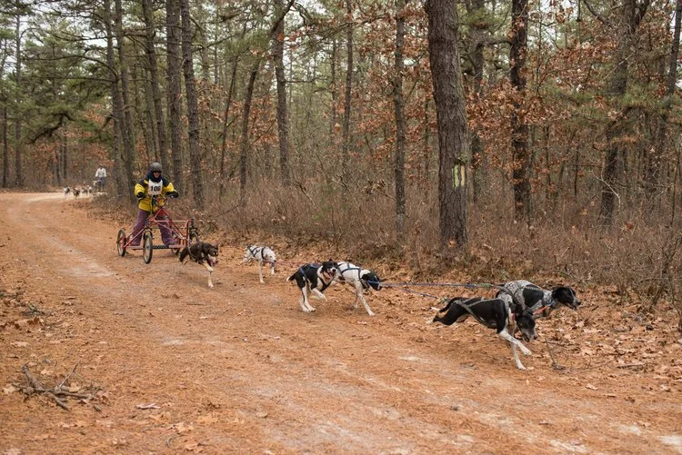 Betty Carhart Memorial Race with JSSDRA