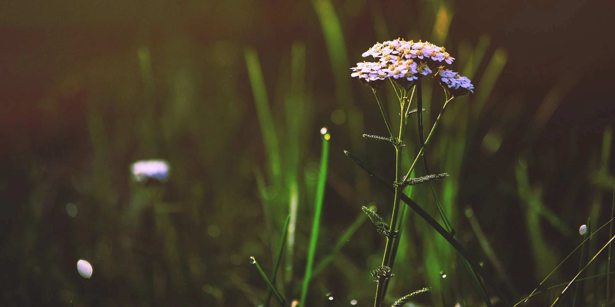 Remembering John Bilodeau-Redeye