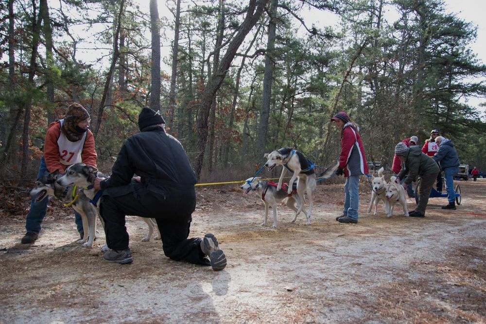 The Fair Hill Challenge (Make-up Date)