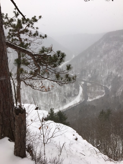 Photo by Julie VanNess from the Wellsboro Chamber of Commerce