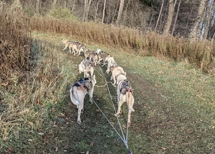 Fall Campout & Training Weekend 2022