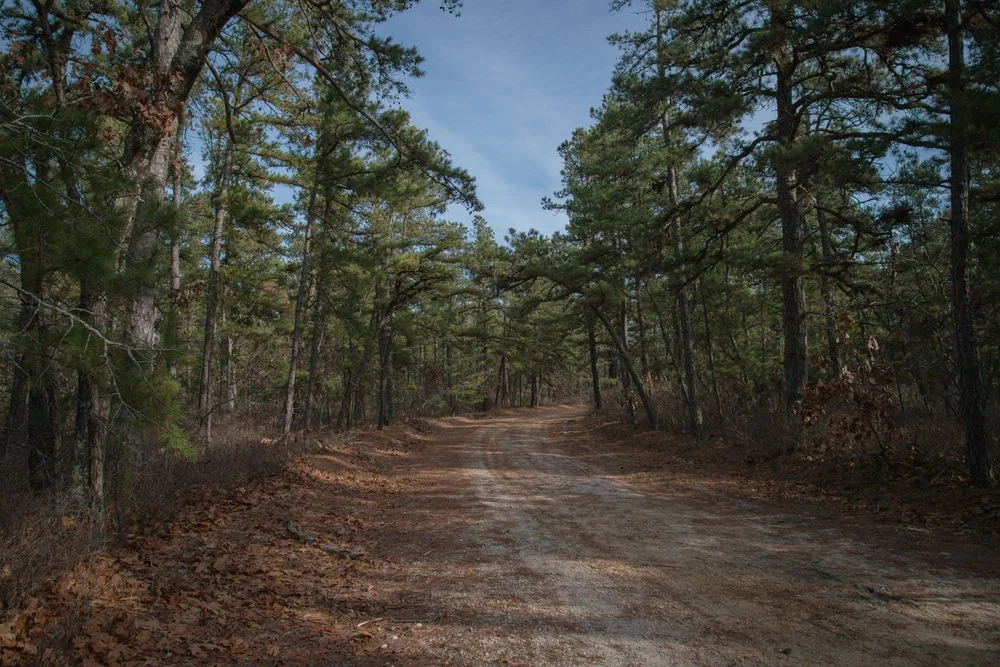 Jersey Devil Dryland Challenge