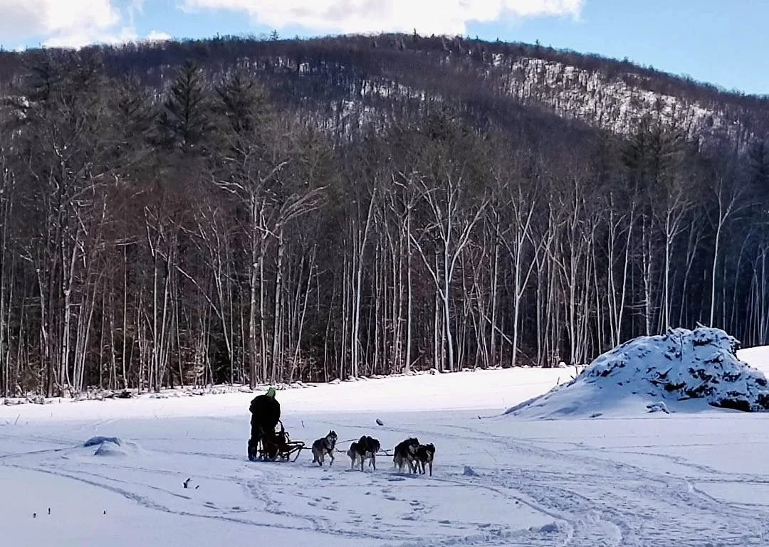 [RESCHEDULED] FROST MOUNTAIN SLED DOG RACE