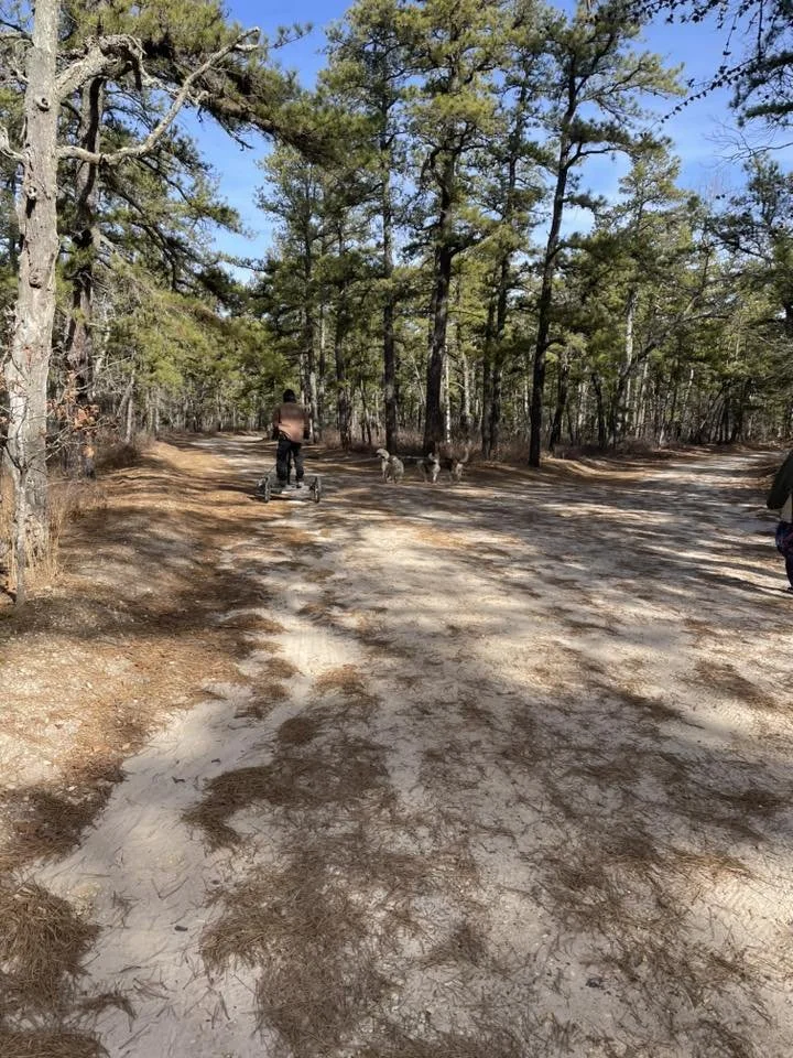 Jersey Devil Dryland Challenge