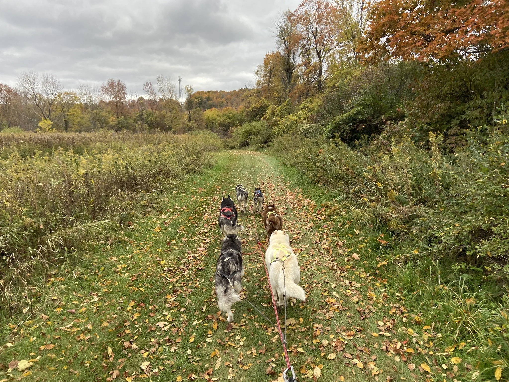 Fall Campout & Training Weekend