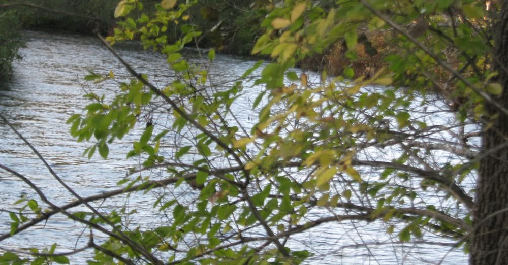 2025 Summer Campout 2025