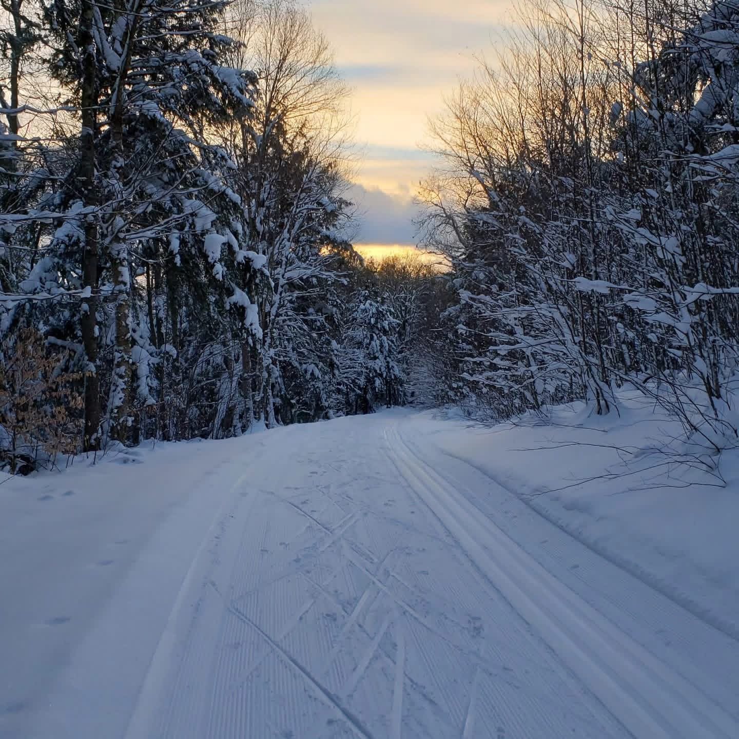 Osceola Spring "Clean Up Your Skills" Challenge