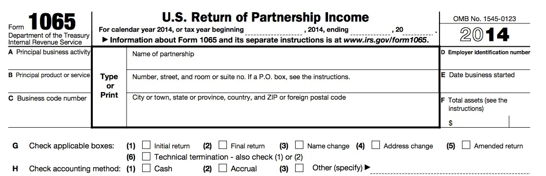 Standard Partnership or LLC Return - Form 1065