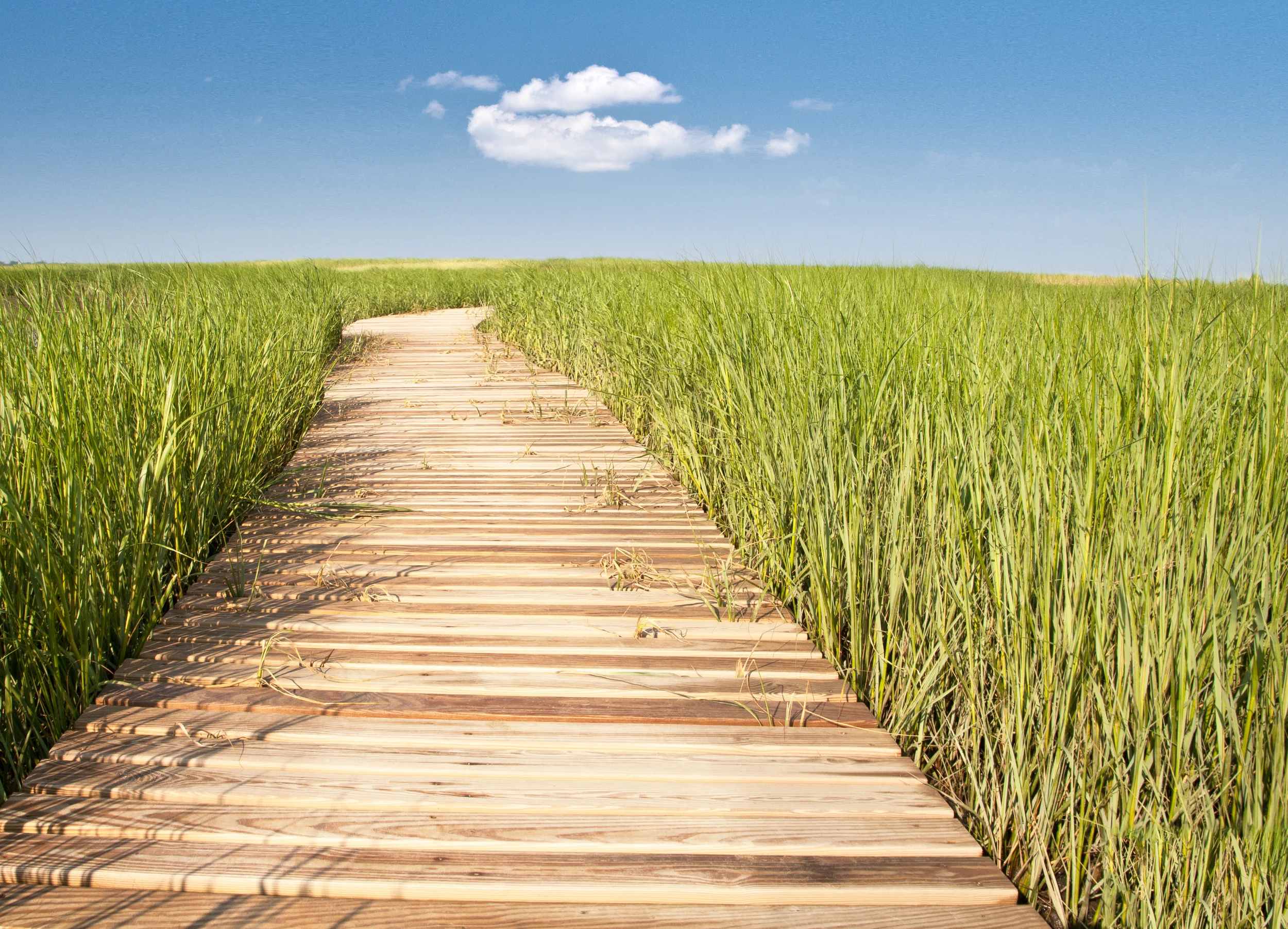 Wealth Management Growth.jpg