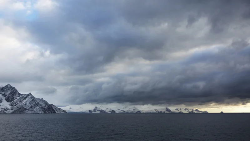 View original posrt http://lens.blogs.nytimes.com/2012/03/01/dispatch-from-antarctica-elephant-island/