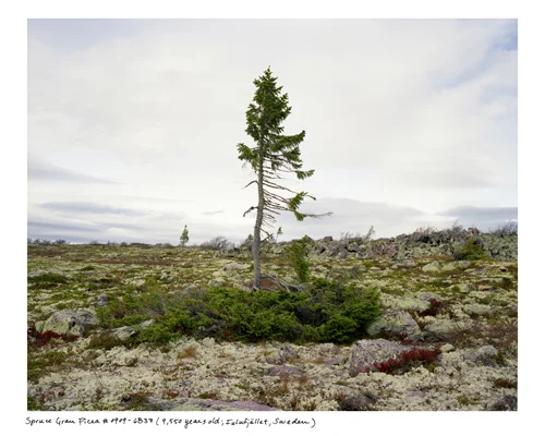 This story was originally published on Nautil.us on March 19, 2015 and in the Summer 2015 print issue. View the original post here .