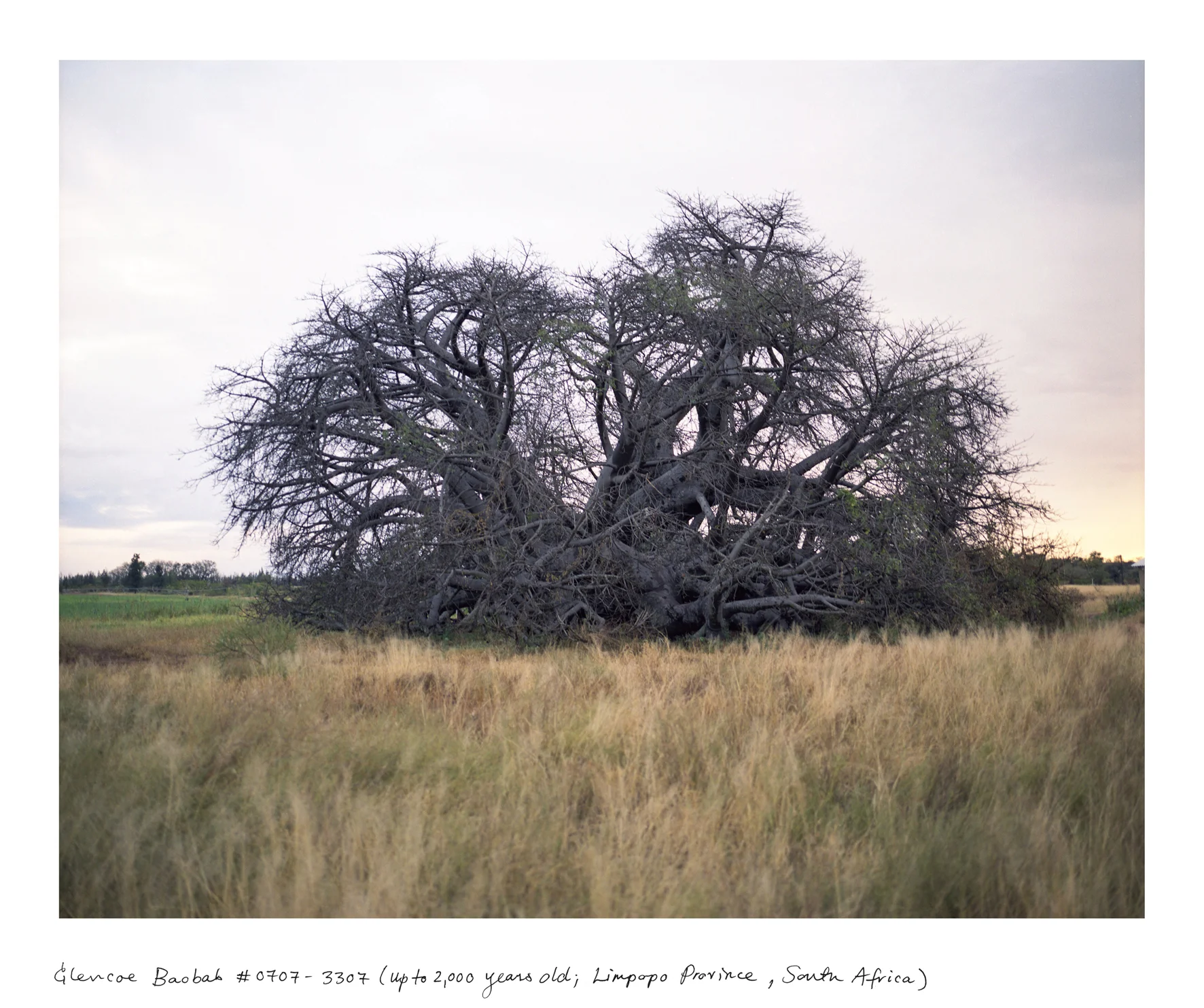 LA: ANNENBERG SPACE FOR PHOTOGRAPHY