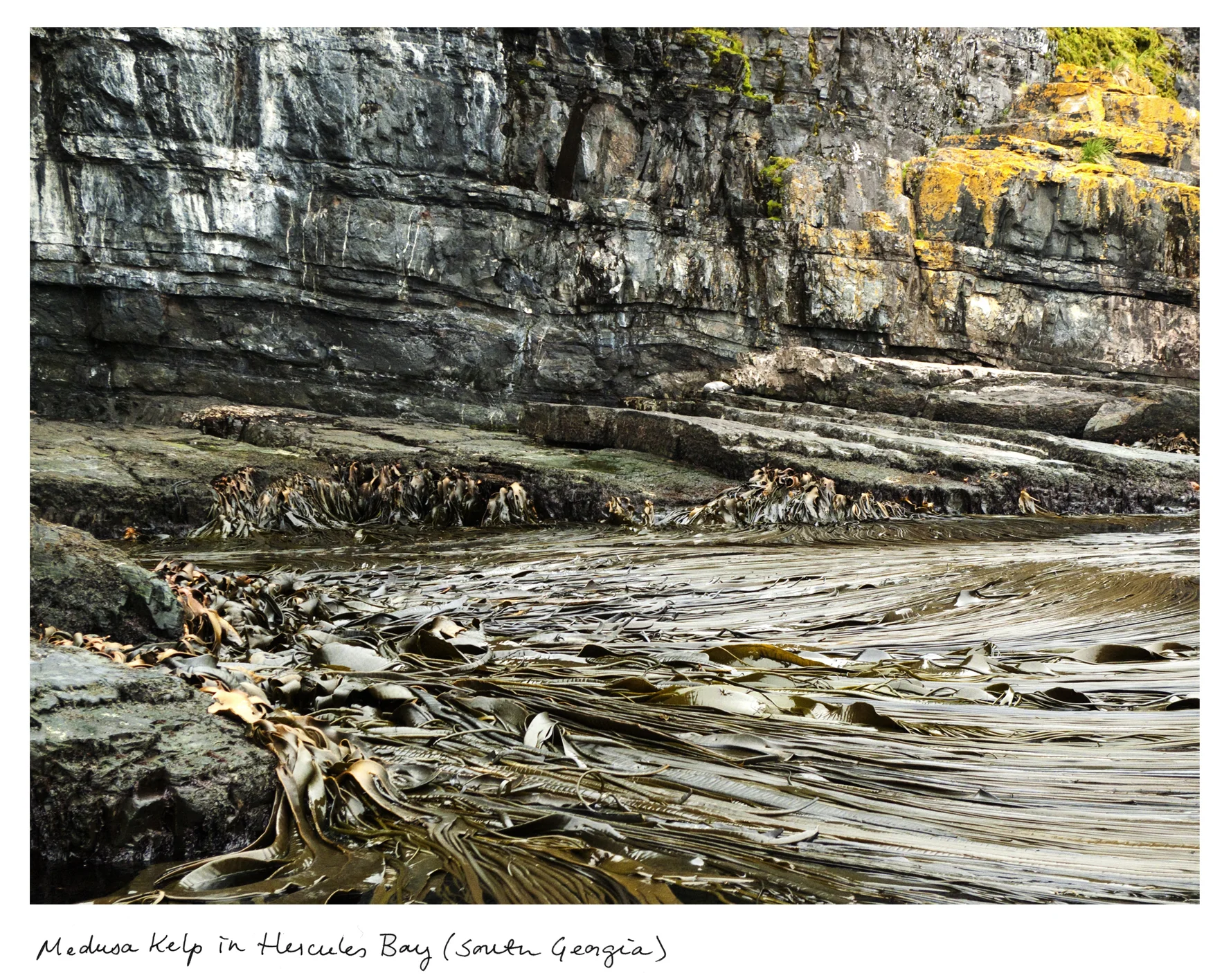 LIBRARY FOUNDATION OF LOS ANGELES: ALOUD