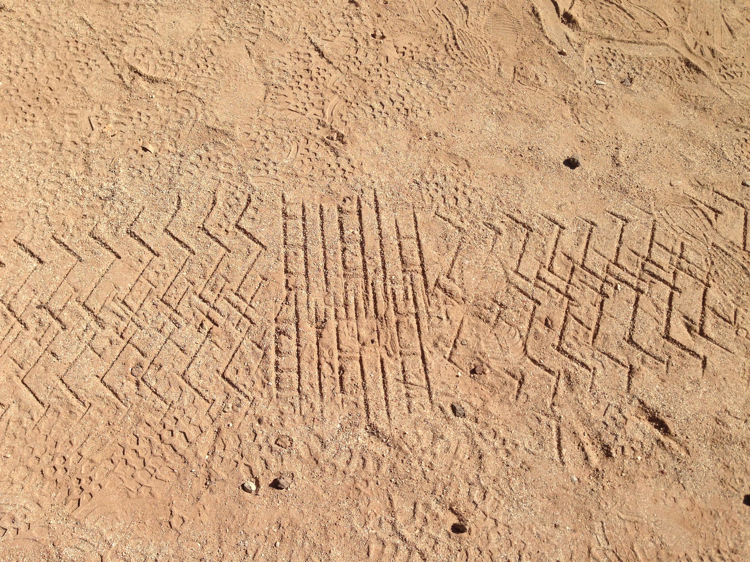 SEATTLE: FUTURE ISMS 