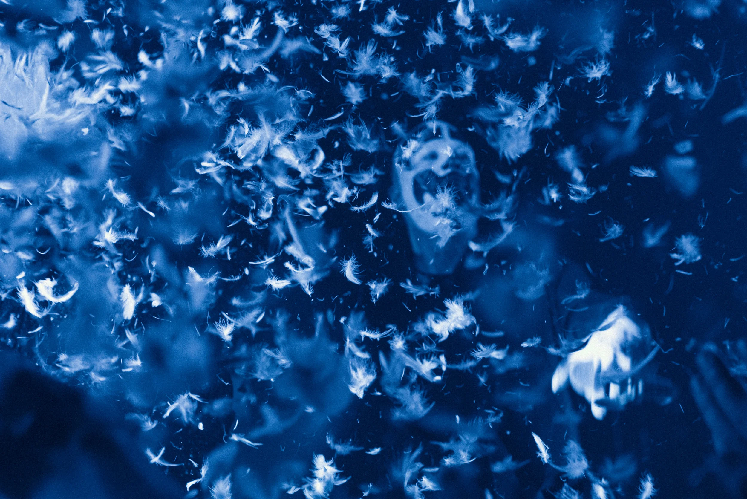 Insane Clown Posse_-33 copy.jpg