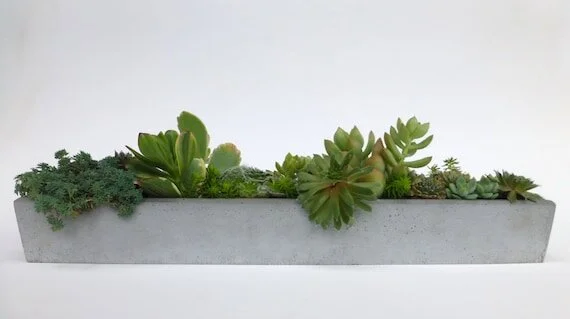 Concrete Planter - Window Sill
