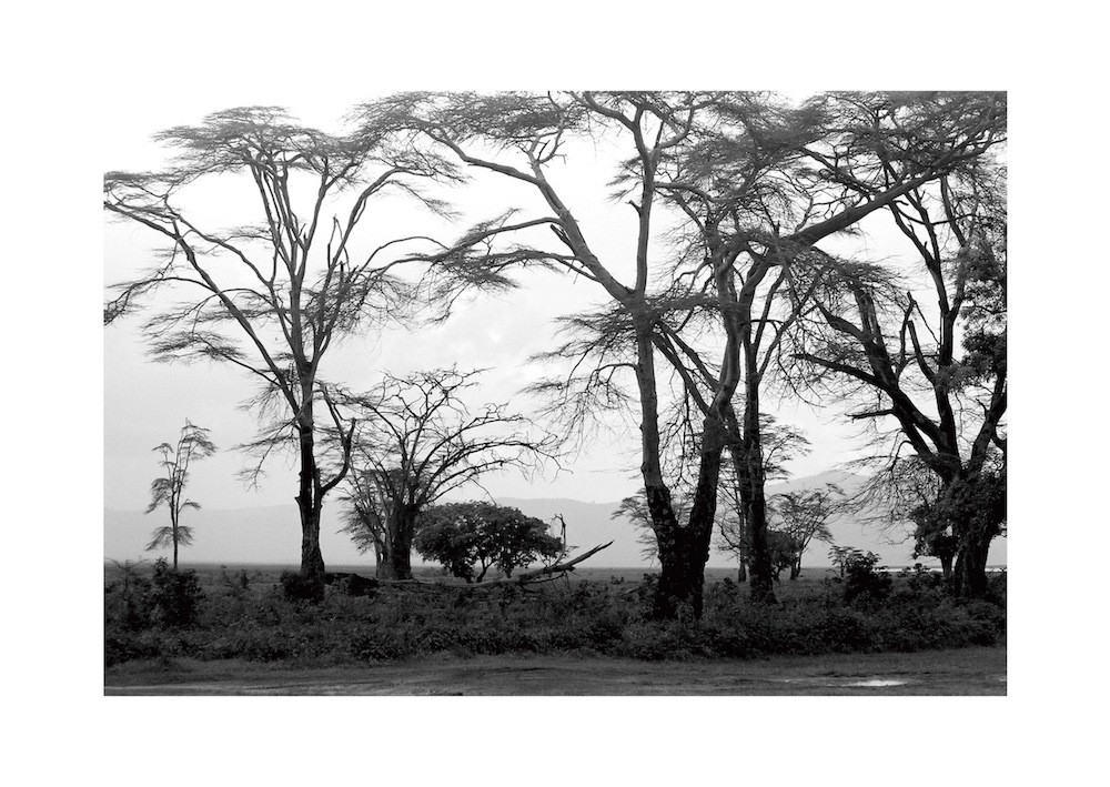 East Africa 2008 38