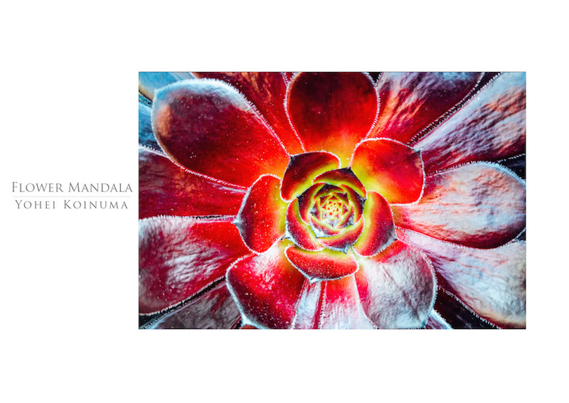 00_IBM_Flower-Mandala.jpg