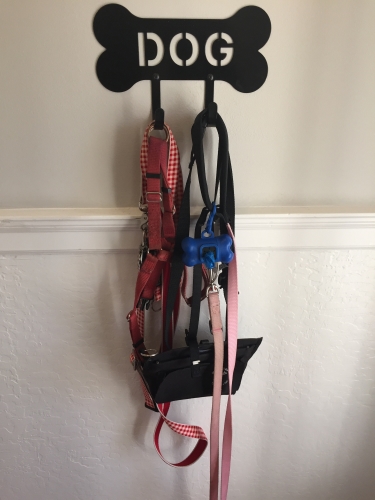 Petunia's gear on the right. Red gear belonged to Chester, our beloved first dog.