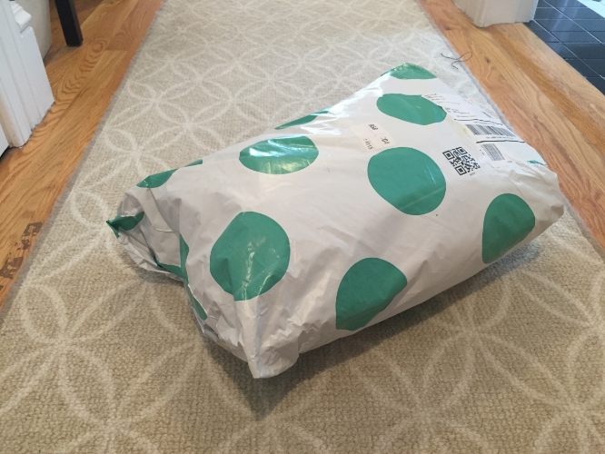 My most recent ThredUp cleanout bag