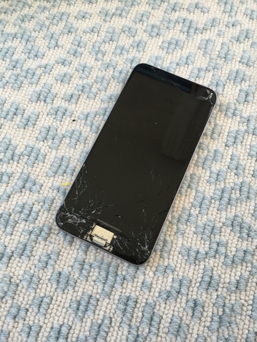 Amazingly, this phone still powers on!