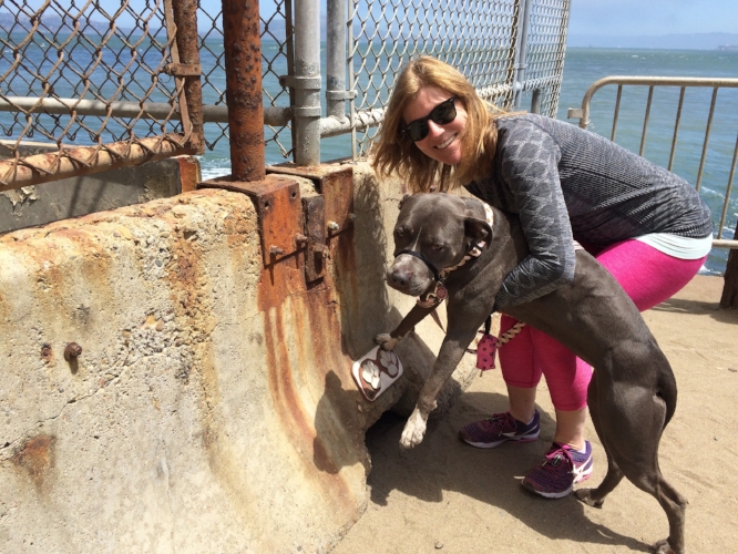 Attempting (failing) to get Petunia to pose with the paw prints at Hopper's Hands at Fort Point