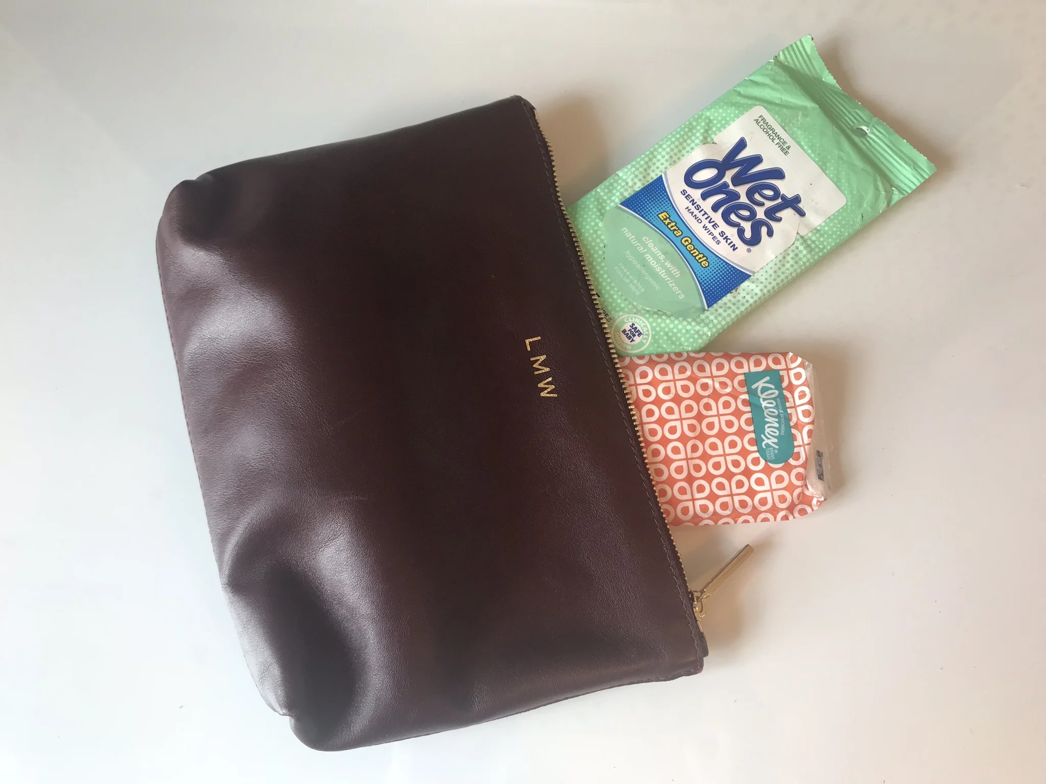 I carry this Cuyana pouch with me every single day.