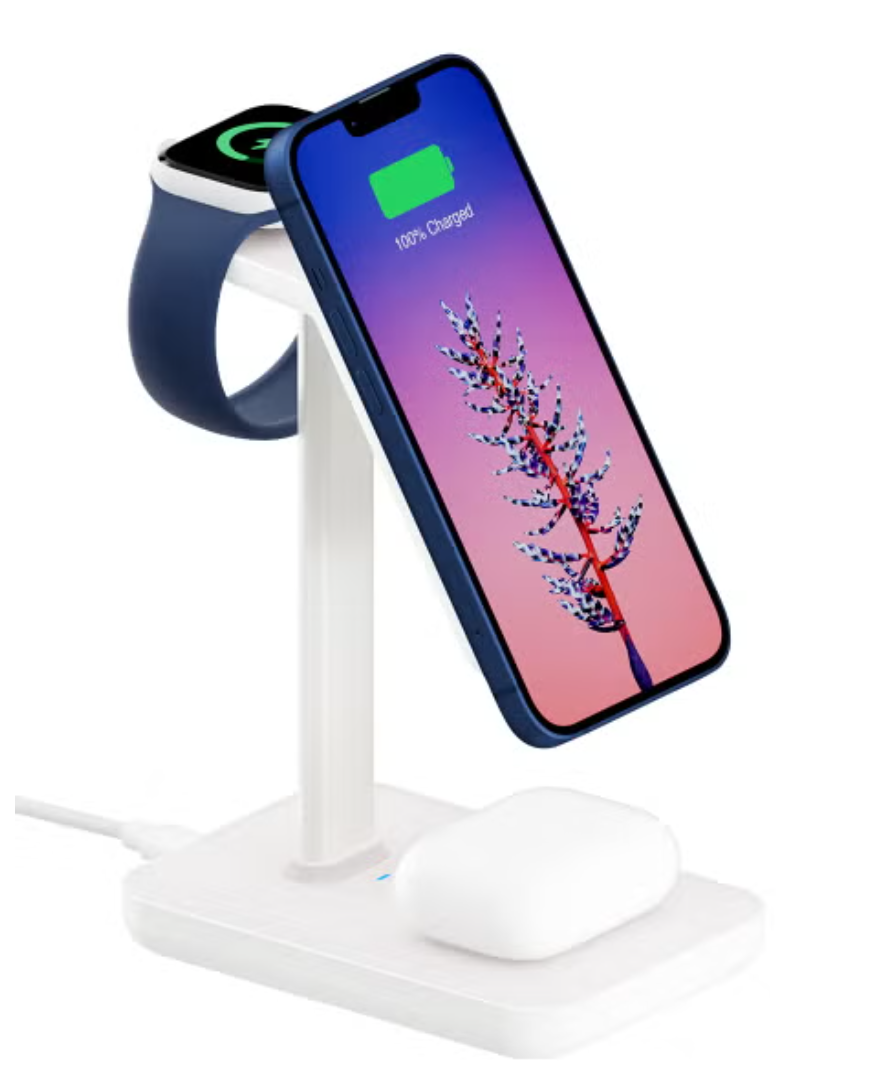 CLICK TO SHOP