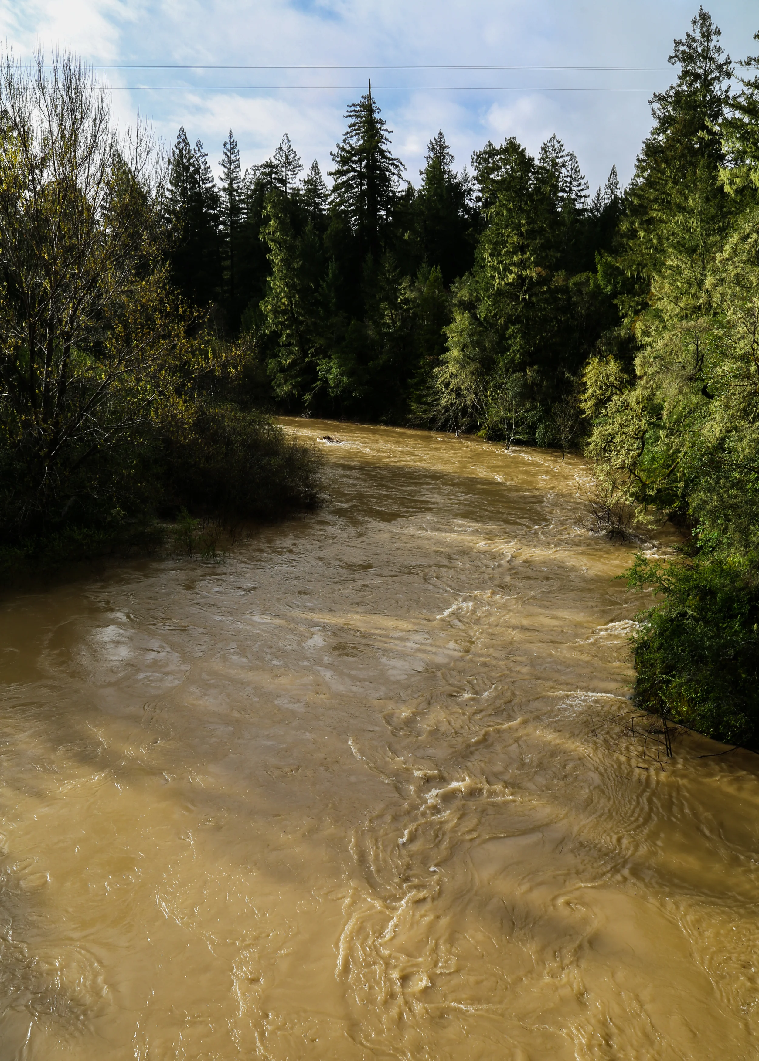 Navarro River at Hendy Woods