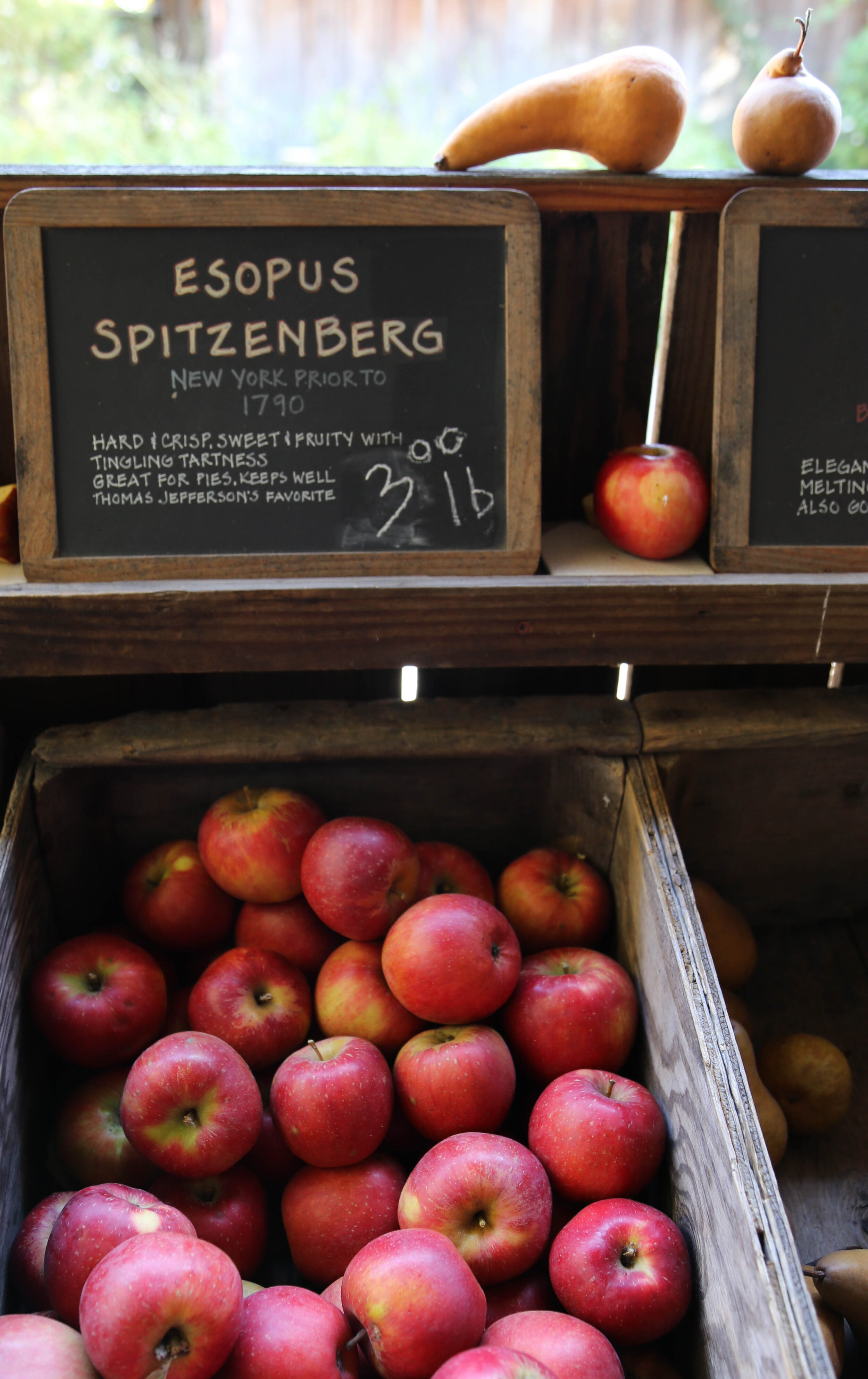 Seedlip Nature Stories, The Apple: It's History, Future, and How You Can  Save It