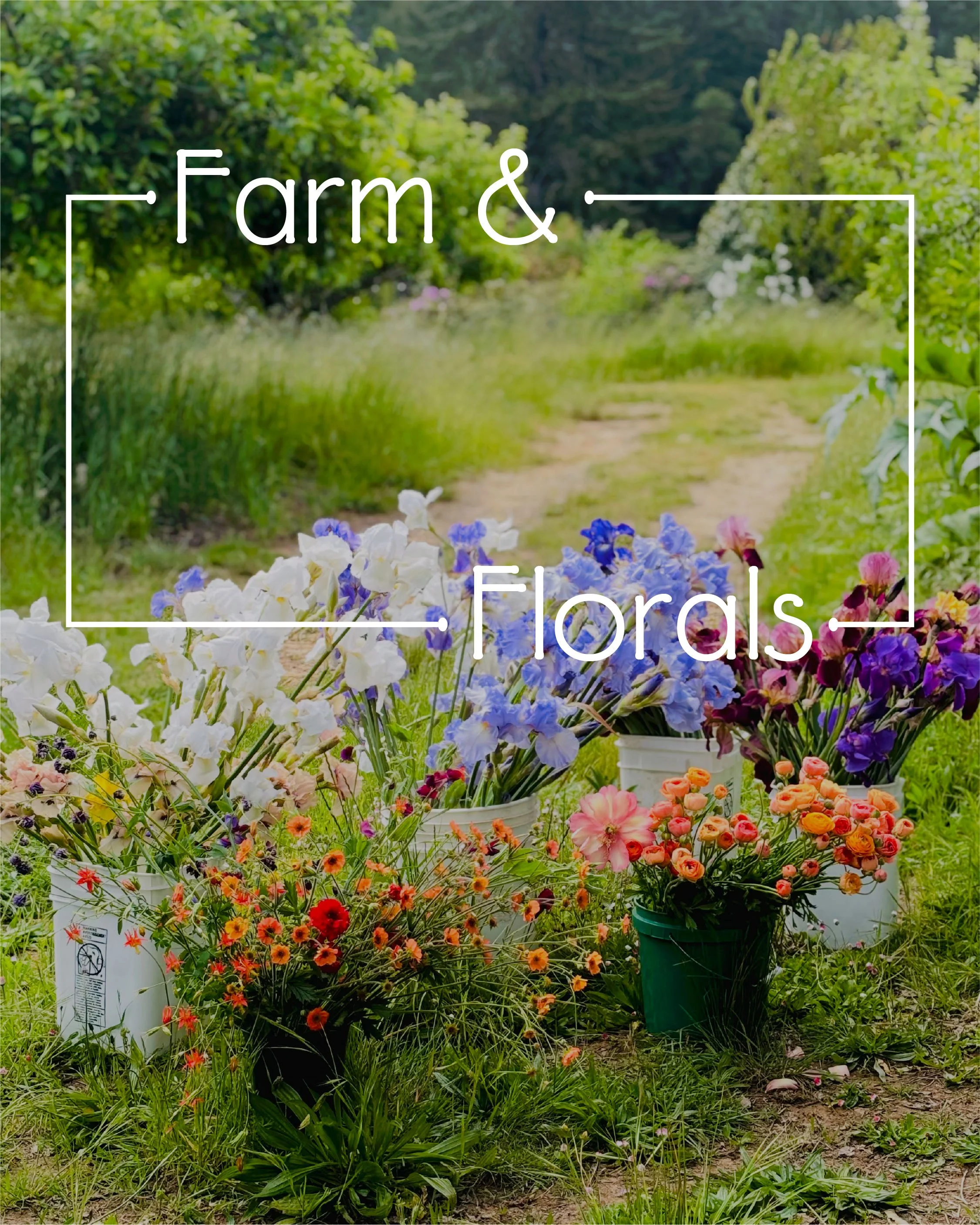 Barndiva-IG_Farm+Florals.jpeg