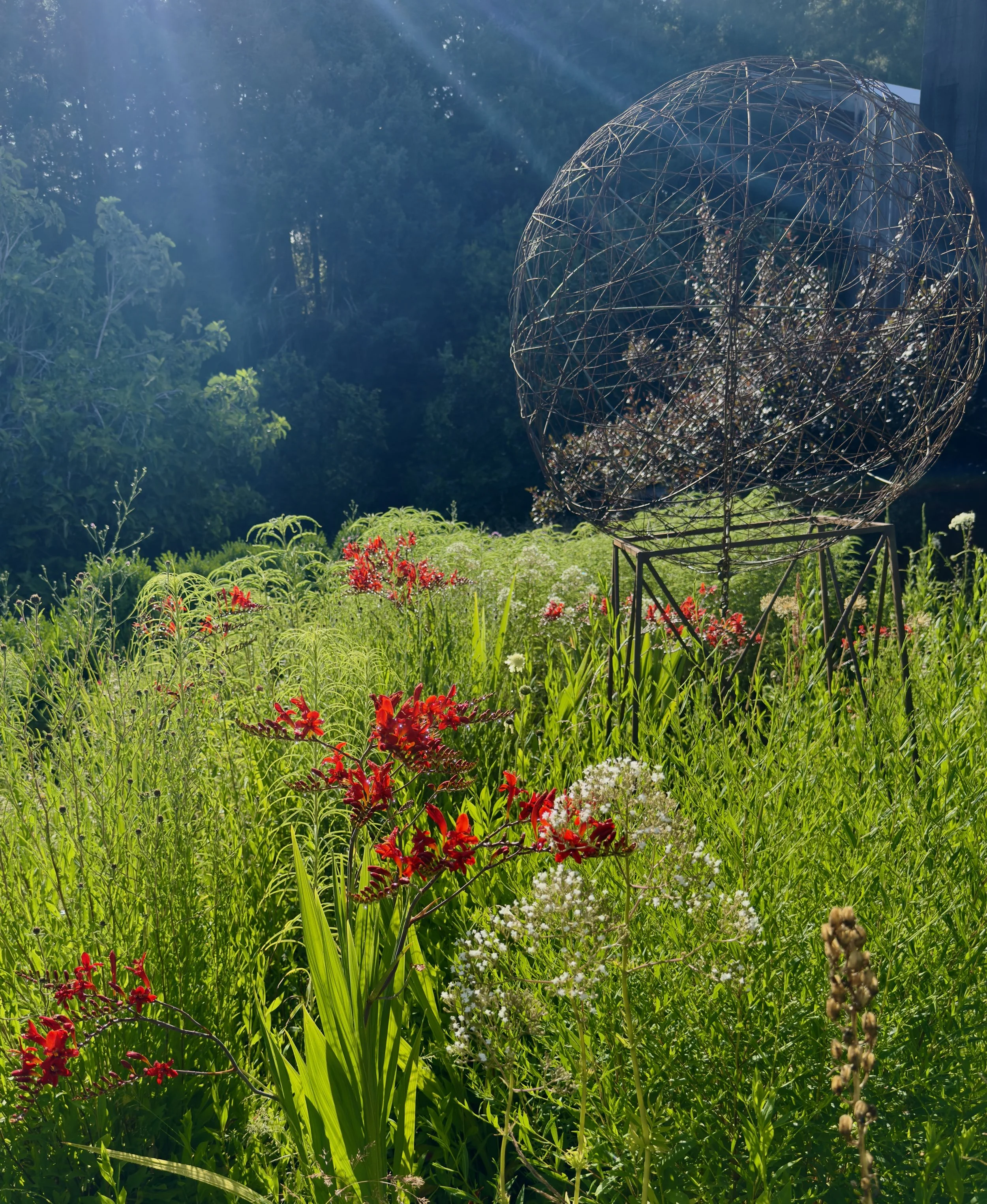 Joanna Macy: in deep time, and deep thanks