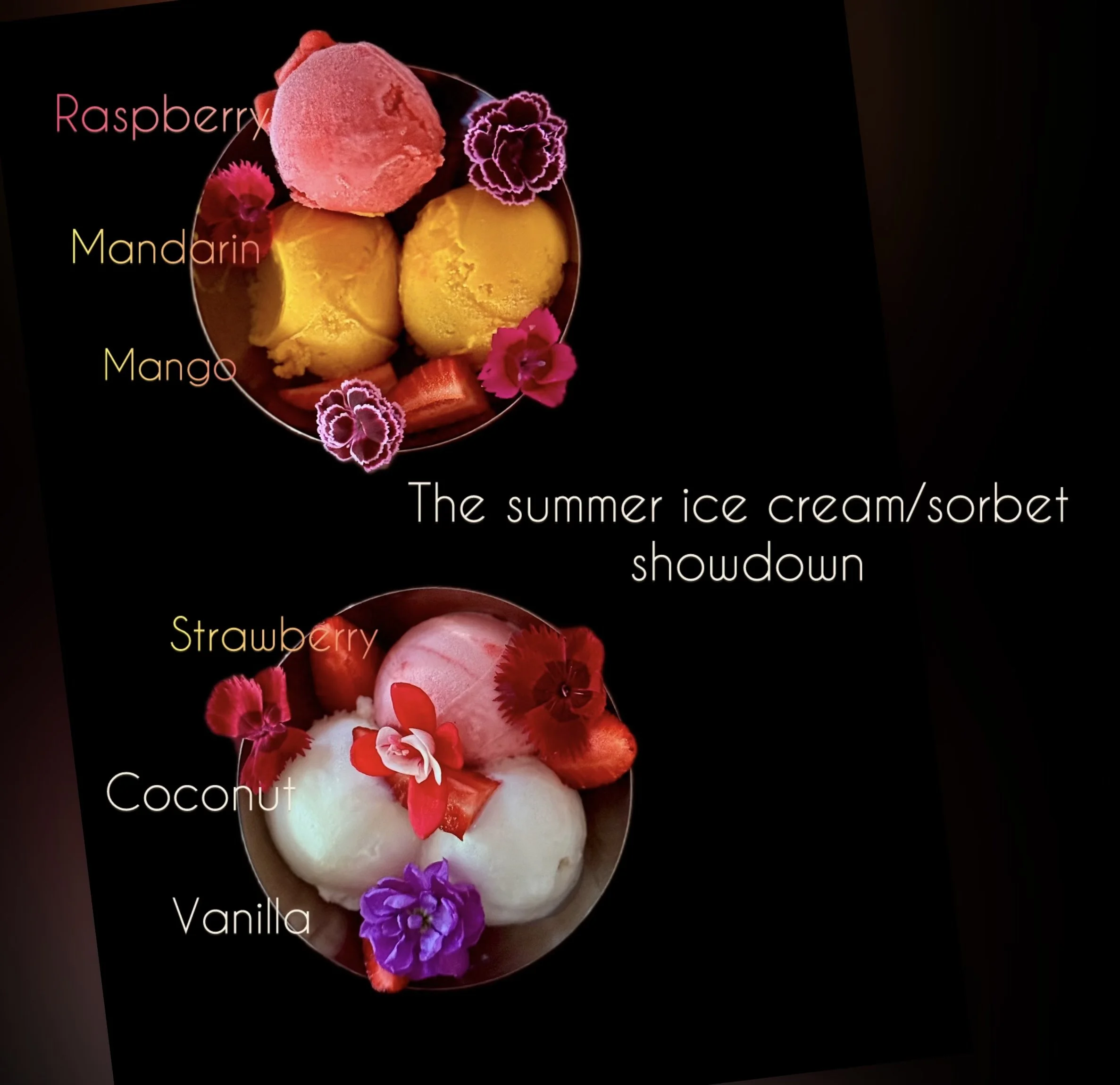 scoop-society-studio-barndiva-ice-cream-sorbet-summer-fruit.jpg