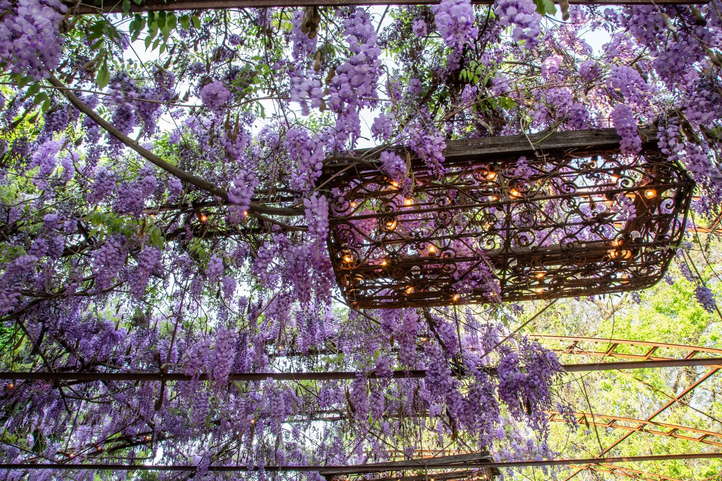 the optimism of spring